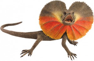 frilled-neck-lizard4d.jpg